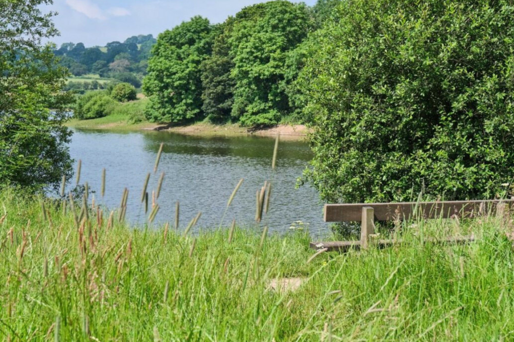A drought has been declared across the West Midlands. (Severn Trent) A drought has been declared across the West Midlands. (Severn Trent)