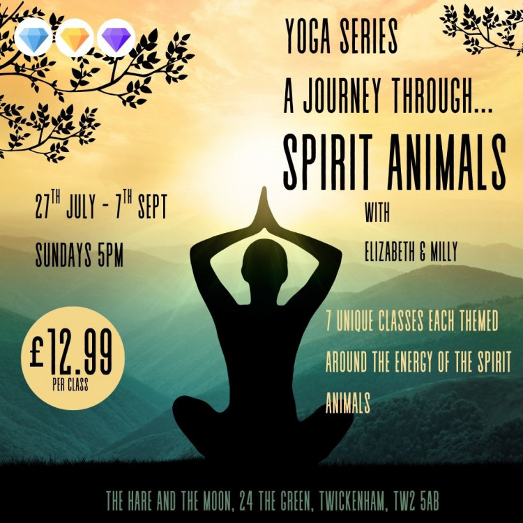 Spirit Animal Yoga Series Spirit Animal Yoga Series