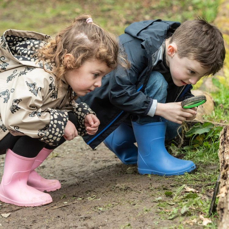 Summer of play at Brownsea Island
