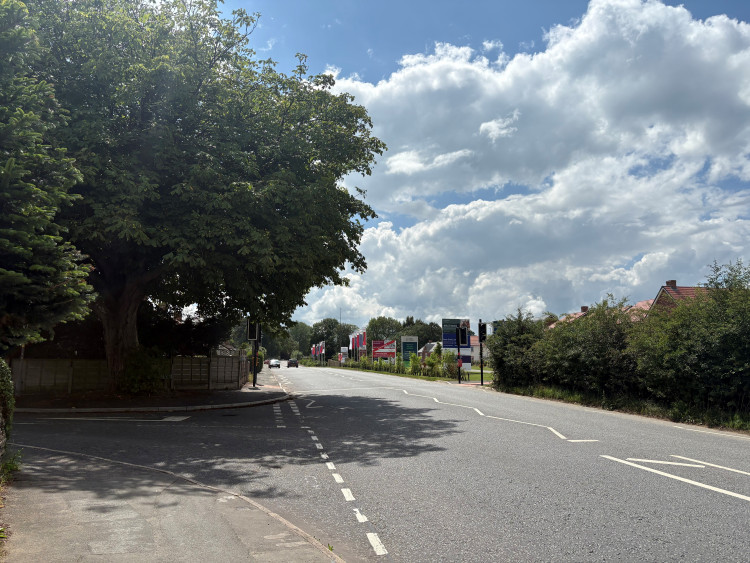The crossing at Lyme Green (Credit: LDRS)