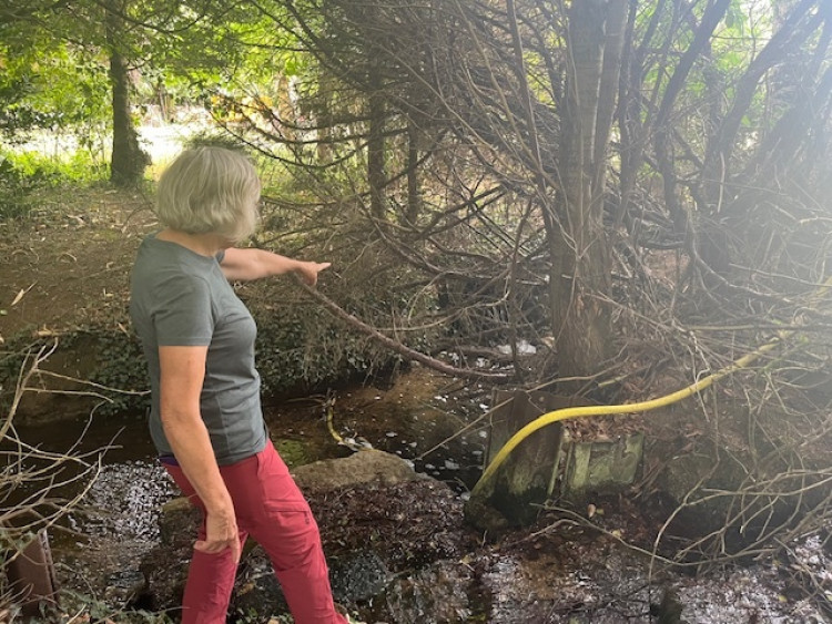 Major water pollution found in brook in Greetham, Rutland, has nature campaigners urging other villages to test their water (Photo: LDRS)