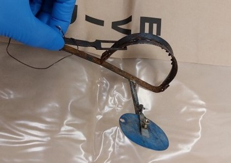An illegal gin-trap intended to catch rats has maimed a Rutland Hedgehog (Photo: Lincolnshire Police)