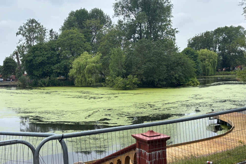 'Harmful' algae has been detected at a Stoke-on-Trent park. (Nub News) 'Harmful' algae has been detected at a Stoke-on-Trent park. (Nub News)