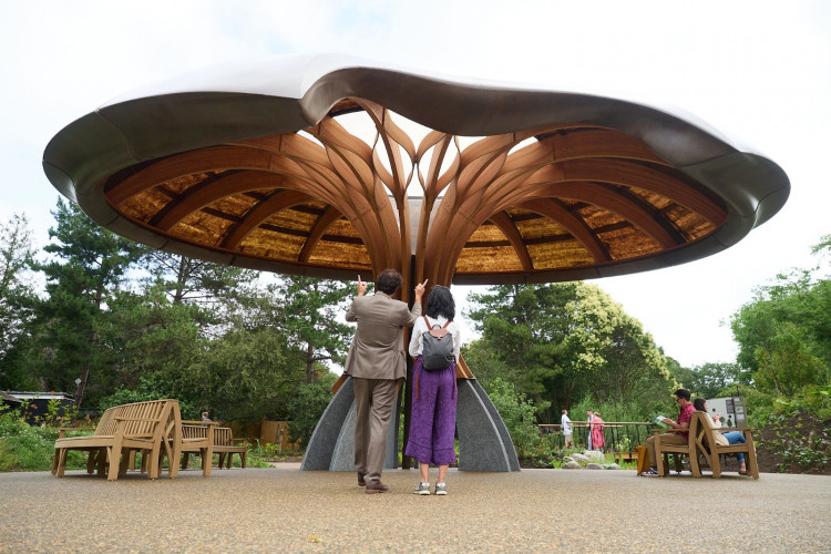 The Carbon Garden features trees, thousands of plants, and a fungi-inspired pavilion made entirely from natural materials (credit: Ollie G. Monk).
