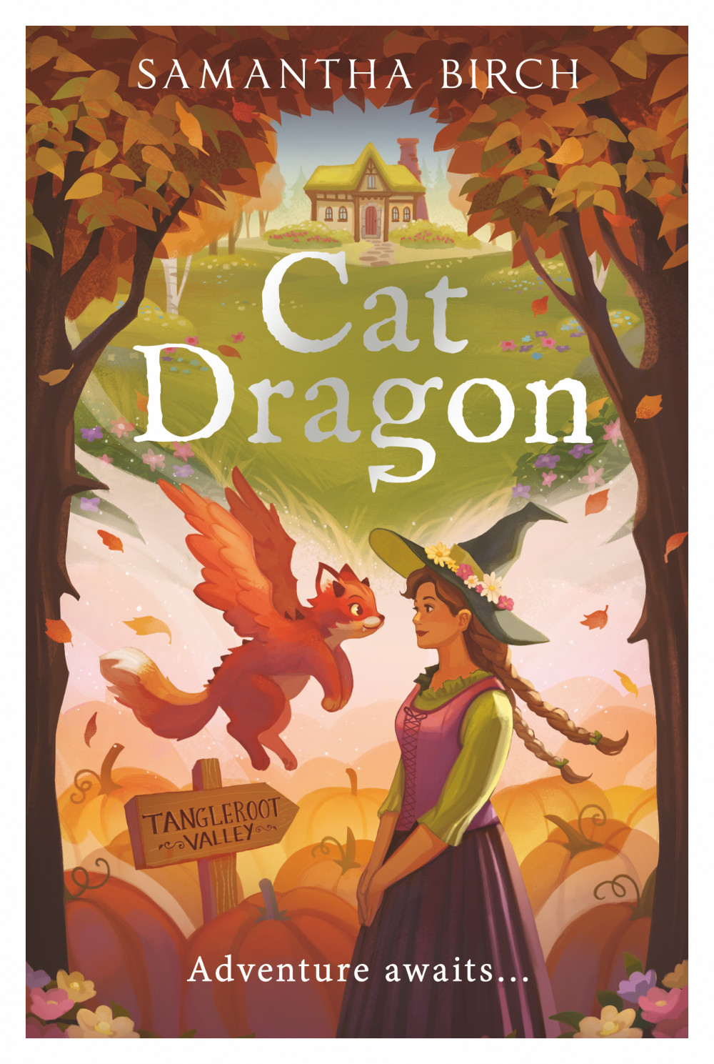 Cat Dragon is a cosy fantasy book for adults, featuring witches, adventure and romance. Cat Dragon is a cosy fantasy book for adults, featuring witches, adventure and romance.