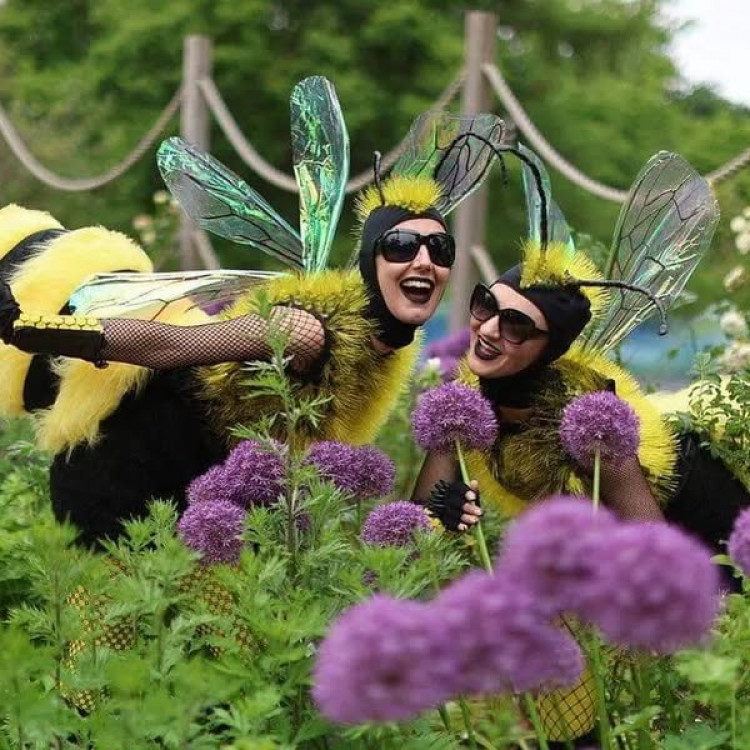 Join Storm in a Teacup Circus enjoying the floral delights of Rutland Flower Show (Photo: SIATC)