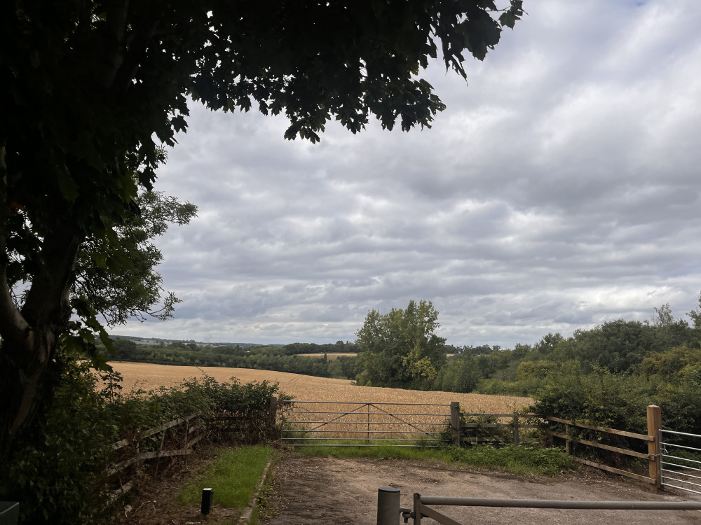 Taylor Wimpey’s plan for 140 homes near Leamington Spa requires no EIA, says planning authorities (image via Nub News) Taylor Wimpey’s plan for 140 homes near Leamington Spa requires no EIA, says planning authorities (image via Nub News)