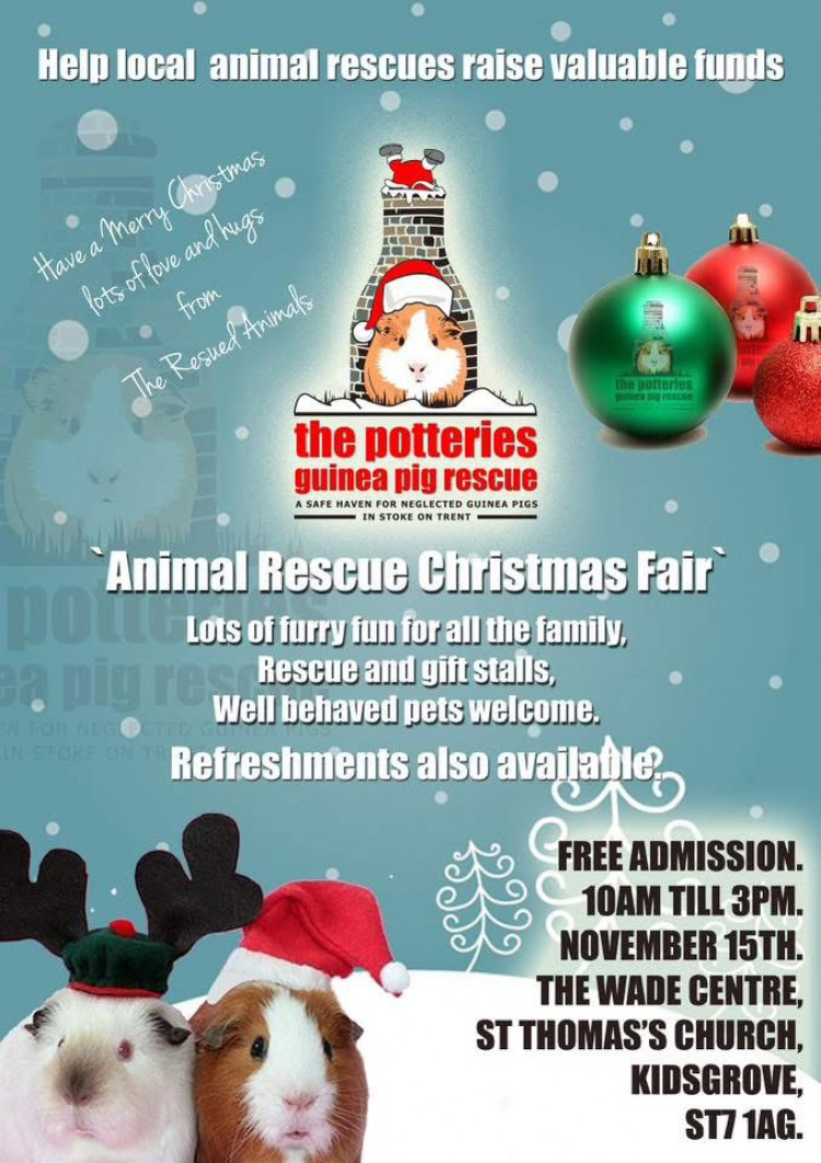 The Potteries Guinea Pig Rescue Christmas Fair 2025