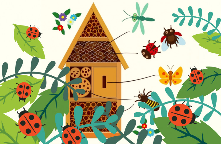 Bug Hotel Building