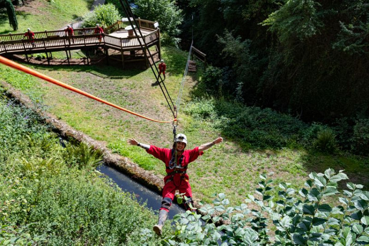 Wild Wookey at Wookey Hole named a top global attraction in Tripadvisor's Travellers’ Choice Awards