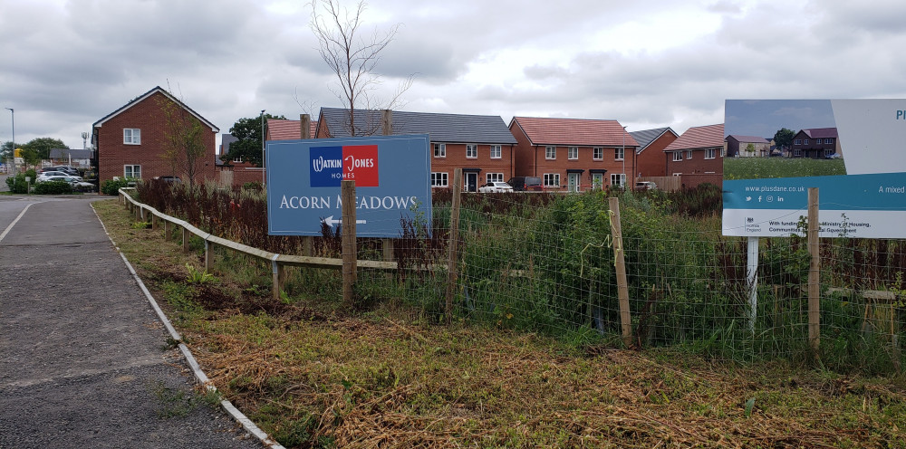 The Watkin Jones Development In Crewe, off Sydney Road (Belinda Ryan, LDRS). The Watkin Jones Development In Crewe, off Sydney Road (Belinda Ryan, LDRS).