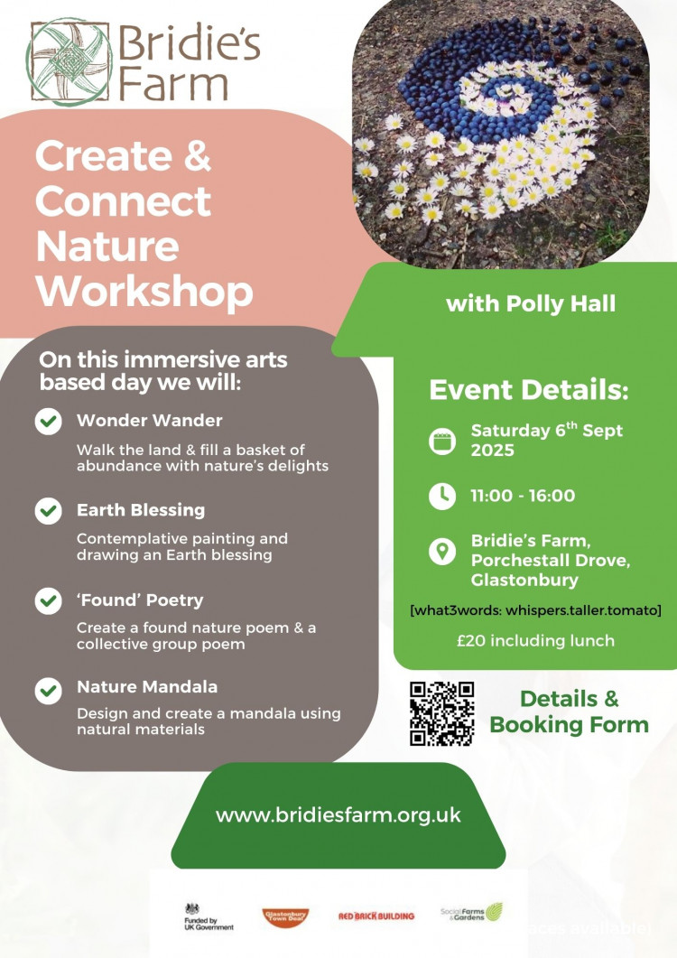 Create & Connect Nature Workshop