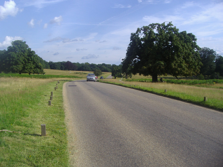 Richmond Park’s Queen's Road recorded 60 officer-issued speeding fines, ranking alongside top enforcement zones like Ilford and Camden Road (credit: David Howard/Wikimedia Commons).