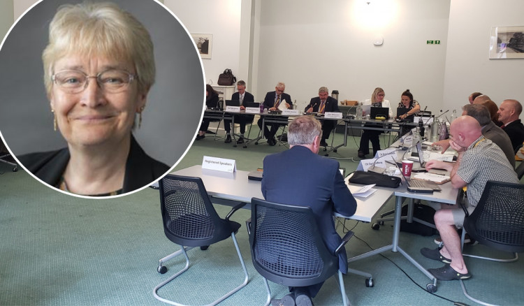 Cllr Fiona Wilson chaired the task and finish group which conducted a survey into the abuse (Credit: LDRS/CEC)