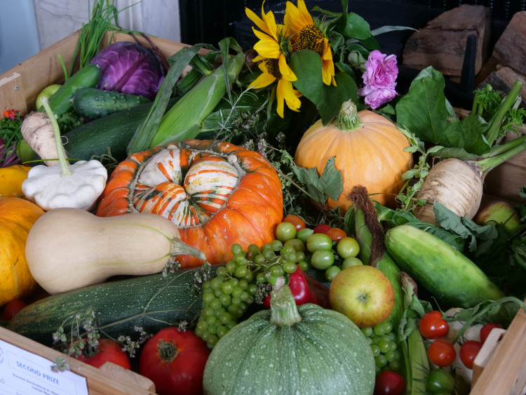 Warwick Horticultural & Craft Show