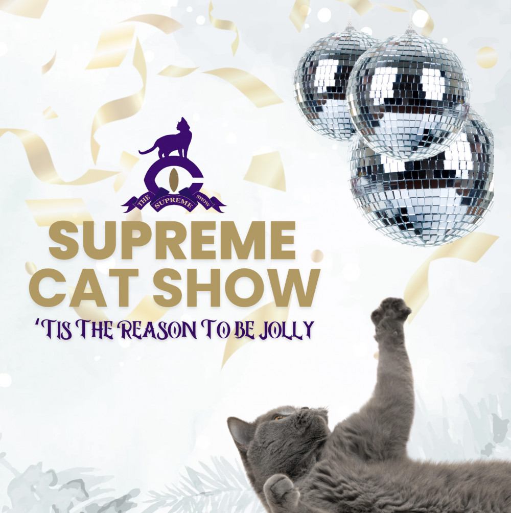 The GCCF's 47th Annual Supreme Cat Show The GCCF's 47th Annual Supreme Cat Show