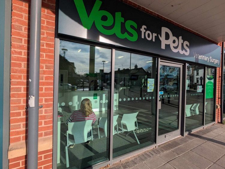 Don't walk dogs on hot pavements warn Alsager's Vet4Pets' owner, Carl May. (Photo: Carl May)