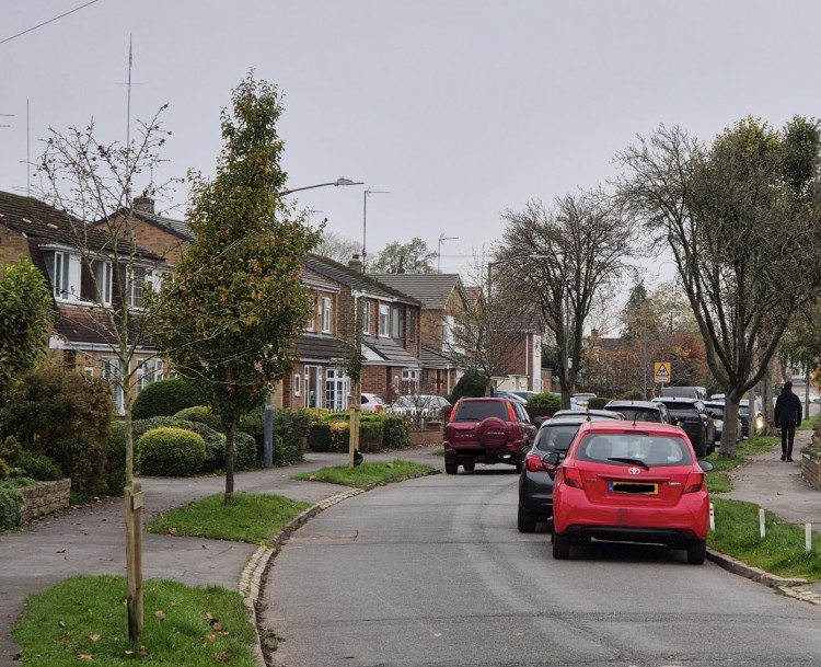 Trees were planted across Kenilworth last year (image by Cllr Richard Dickson)