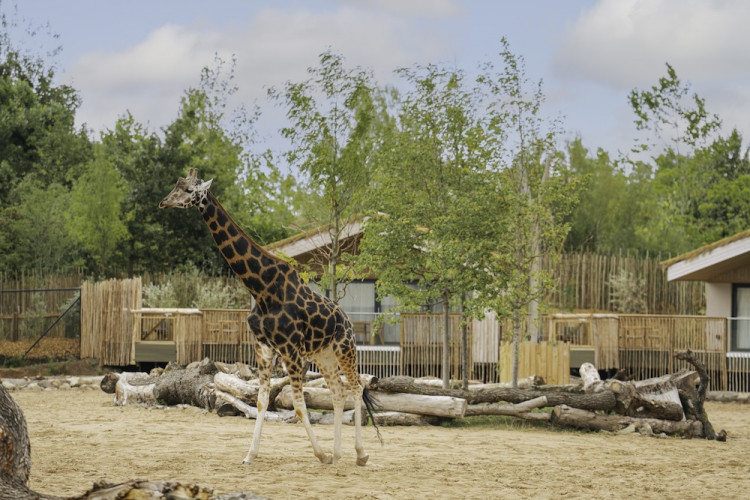 The resort is set to attract an estimated 35,000 additional visitors to the North West each year (Image via: Marketing Cheshire)