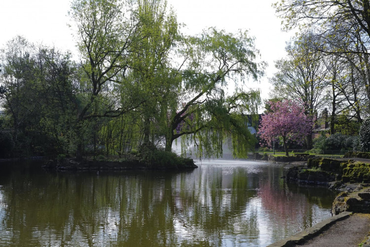 There is lots going on this weekend, including tales in the park at Burslem Park.(Nub News)