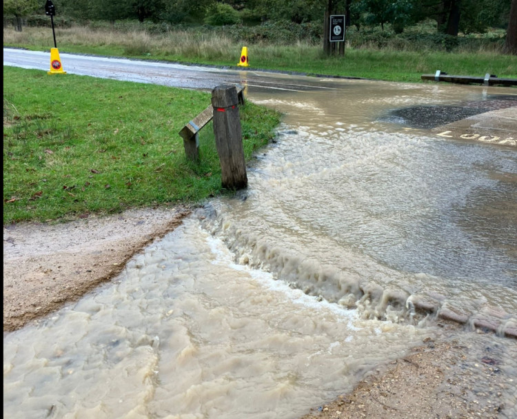 Vehicles cannot access Richmond Park through Ham Gate (Credit: Richmond Park)