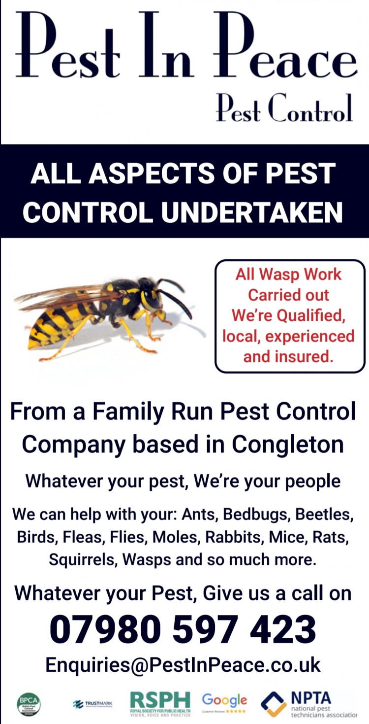 Pest In Peace