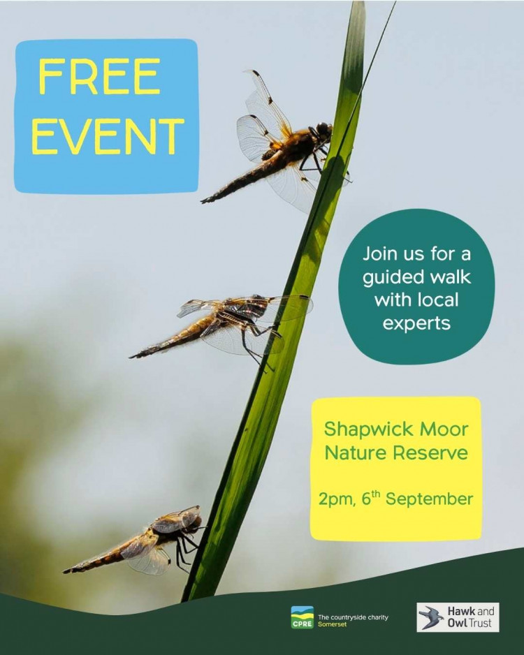 Celebrate Countryside Day with a guided nature walk 