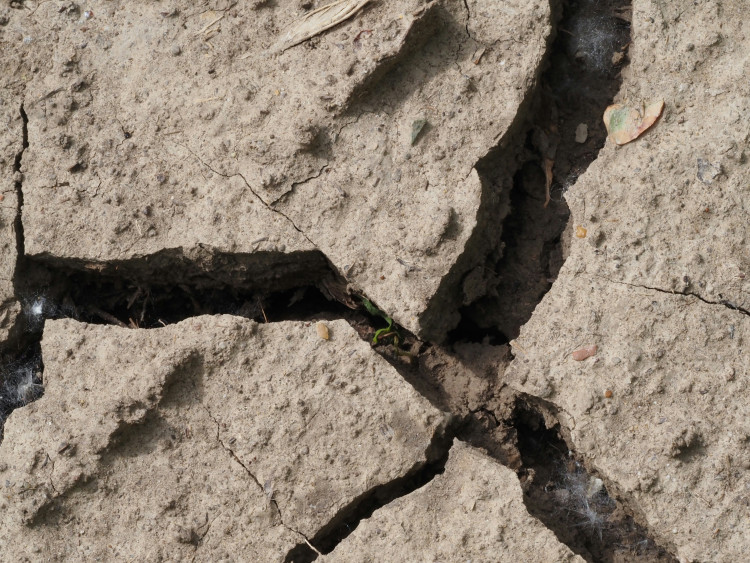 Somerset faces dry weather alert due to prolonged drought. 