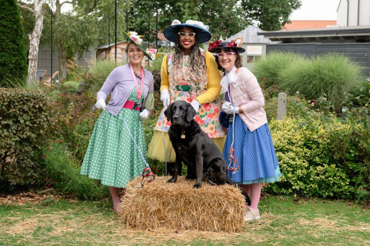 Clarks Village hosts Pawsome Pooch on September 13-14, featuring dog activities and a photo contest to crown the next Canine Executive Officer.