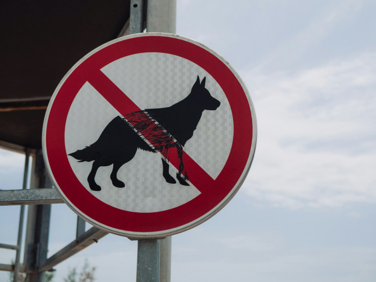 Avon and Somerset police report rising dangerous dog cases, with over 6,000 offences since 2015