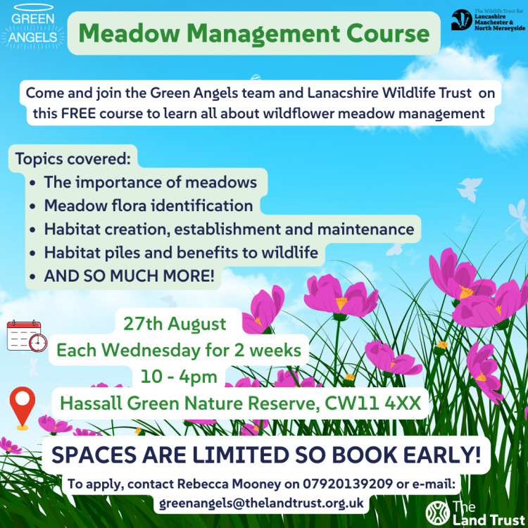 Ever wanted to know how to manage a meadow? Now's your chance. (Image: Hassall Green Nature Reserve)