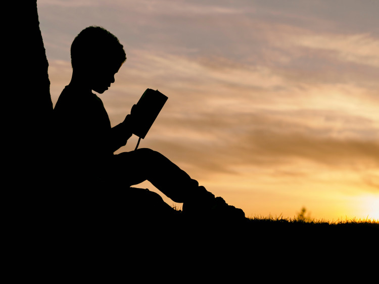 Local businesses in Shepton Mallet are urged to sponsor a community book hunt in Collett Park.