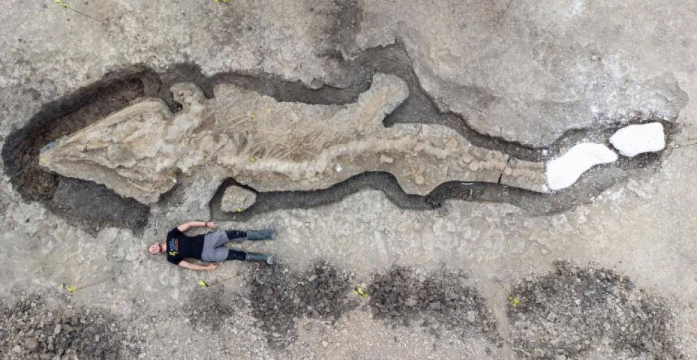 Rutland County Museum is holding a fundraising events with Antiques Roadshow star to raise money to house Ichthyosaur (Photo: Anglian Water)