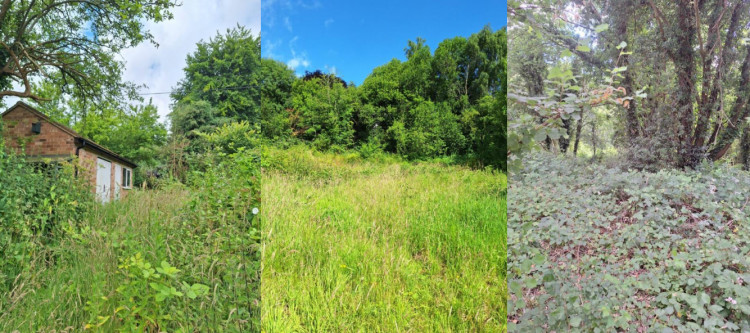 The current view of the application site in Stoneleigh (image via planning application)
