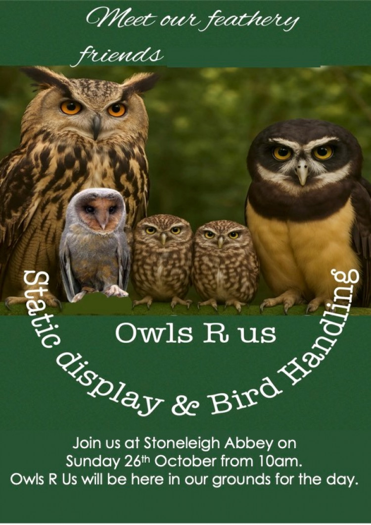 Birds R Us at Stoneleigh Abbey