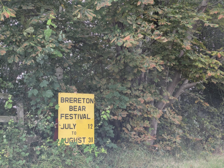 It's the last weekend of Brereton Bear Festival. (Photo: Nub News) 