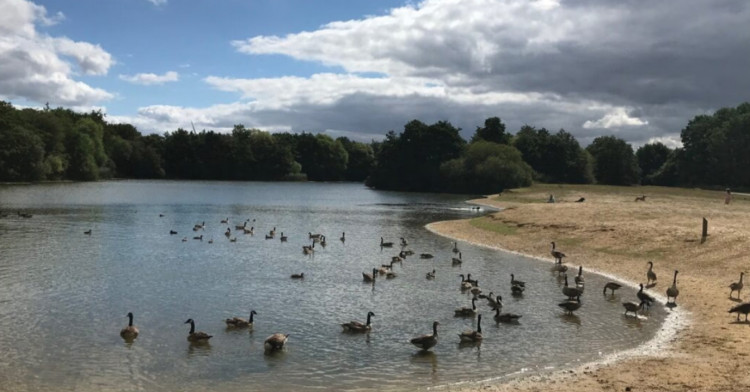 Belhus Country Park