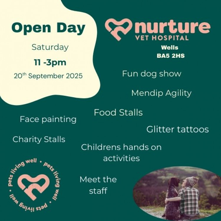 Open Day Nurture Vet Hospital 