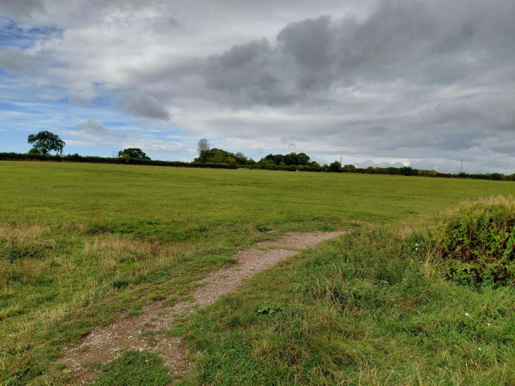 Planned site of 620 homes, care home, commercial space & primary school on A371 Cannard's Grave Road in Shepton Mallet, looking west (Image: Daniel Mumby)