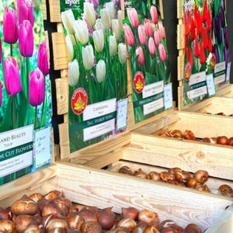 Bulb Planting Workshop