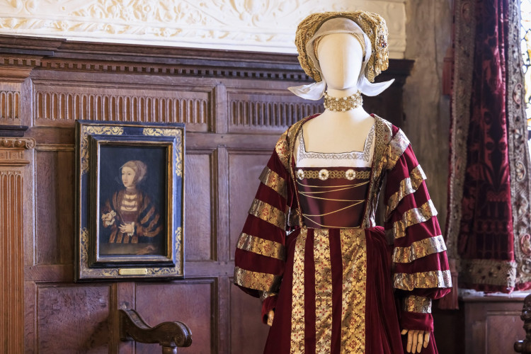 Wells brims with events this week, from fostering sessions to luxury car displays and cultural exhibitions, offering diverse activities for all interests.