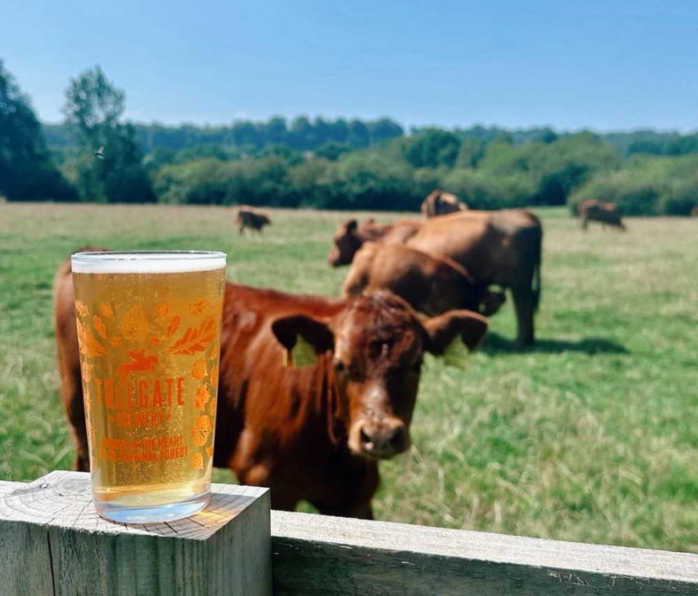This weekend, The Milking Parlour are holding their own Cider and Sausage Festival (Photo: Tollgate Brewery)