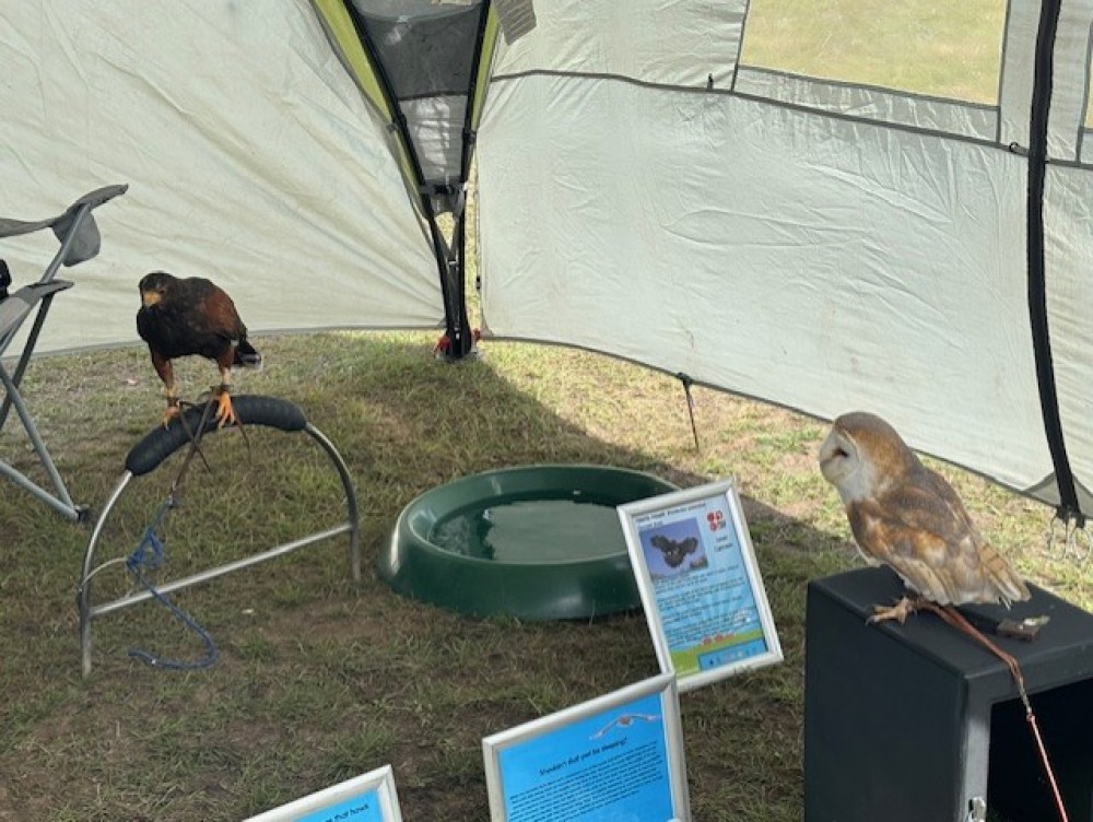 Birds of prey proved a popular attraction. Birds of prey proved a popular attraction.