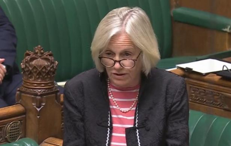 Tessa Munt speaking in Parliament 