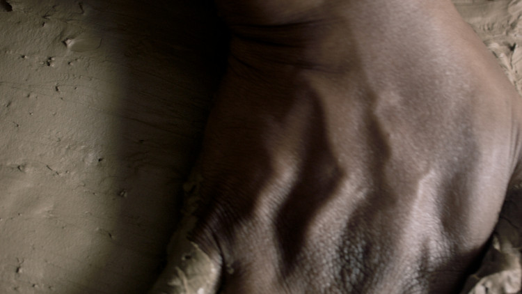 Launch Event: Davinia-Ann Robinson Through an Embodied Practice of Stillness