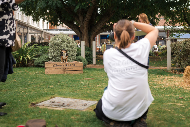 A weekend of doggy treats, tricks and pampering plus a chance for pooches to be crowned Clarks Village CEO