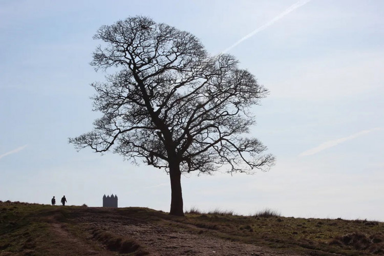 There is lots going on in and around Stockport this weekend, including Bop & Bingo, Lyme Park Regency fun, and more (Image - Nub News)