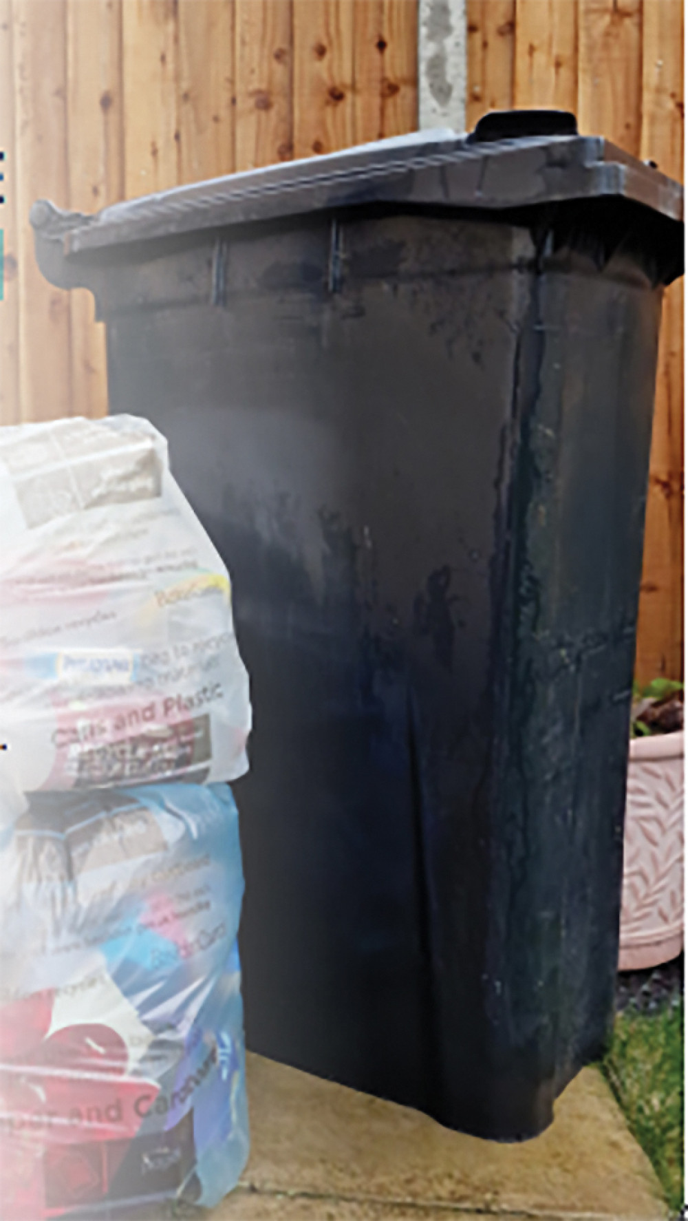 Bags v bin conundrum.