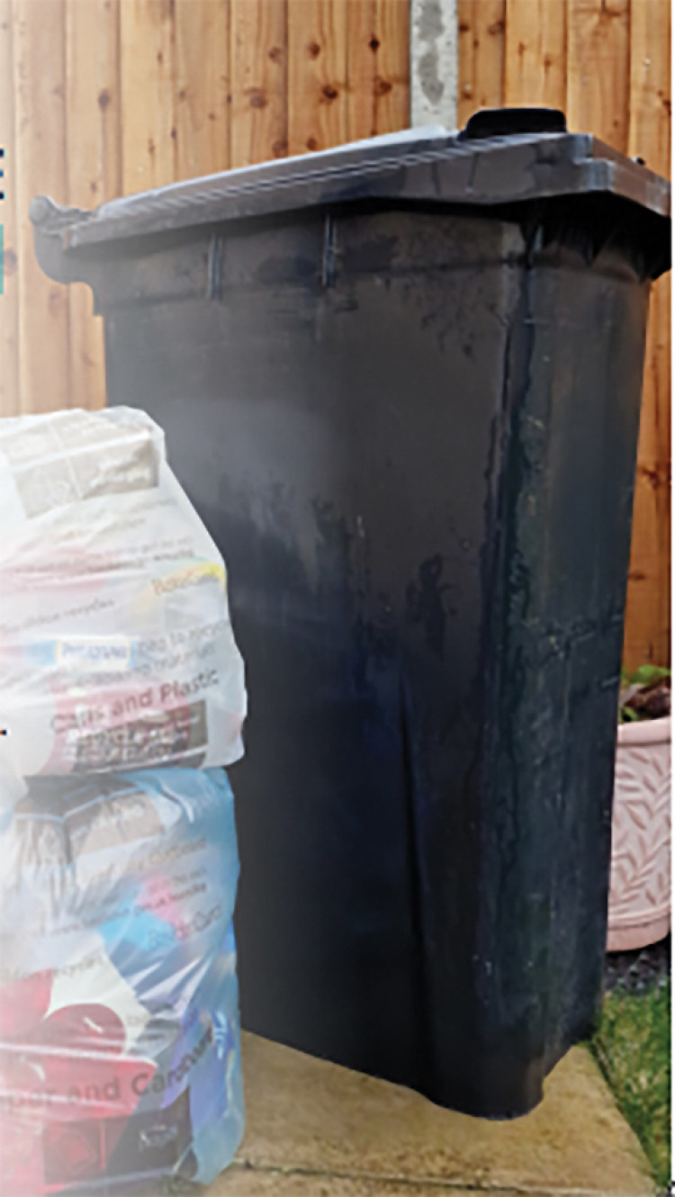 Bags v bin conundrum.