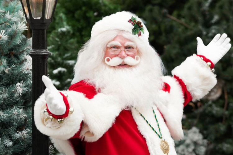 Shepton Mallet gears up for Christmas as Dobbies Garden Centre hosts a festive launch on 23 November with Santa’s Arrival and seasonal activities.